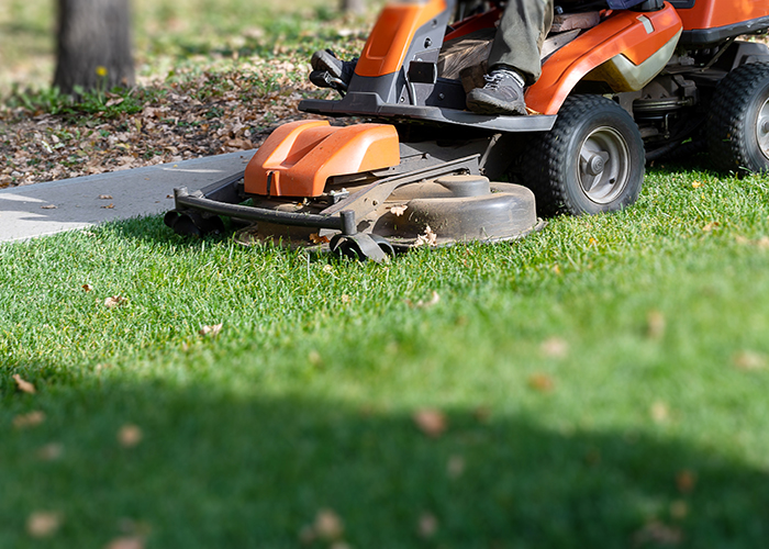 Entretien de Jardins et Espaces Verts au Havre – Seb Espaces Verts