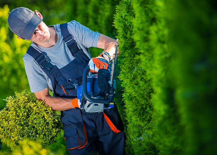 Entretien de Jardins et Espaces Verts au Havre – Seb Espaces Verts
