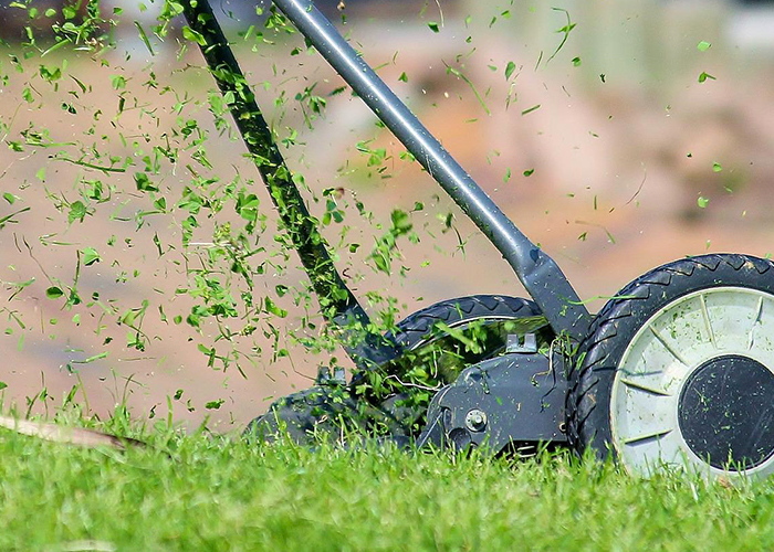 Entretien de Jardins et Espaces Verts au Havre – Seb Espaces Verts