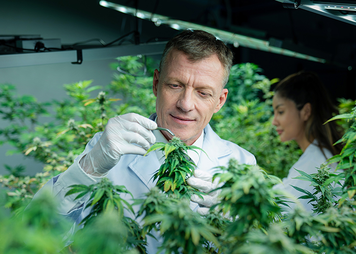 Services pour professionnels et collectivités – Seb Espaces Verts au Havre