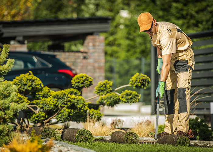 Aménagement Paysager au Havre et Alentours – Seb Espaces Verts