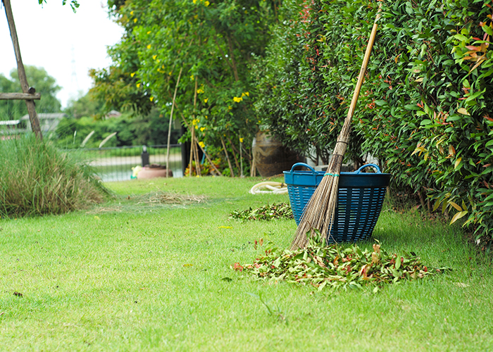 Aménagement Paysager au Havre et Alentours – Seb Espaces Verts